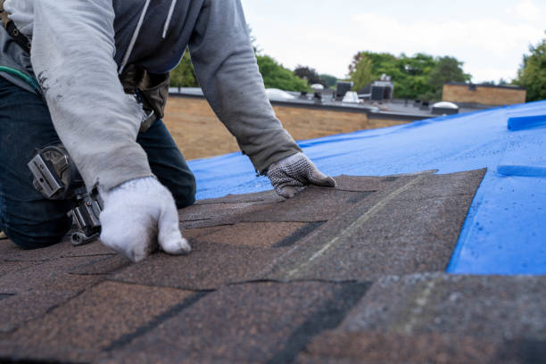 Best Roof Ventilation Installation  in Conley, GA