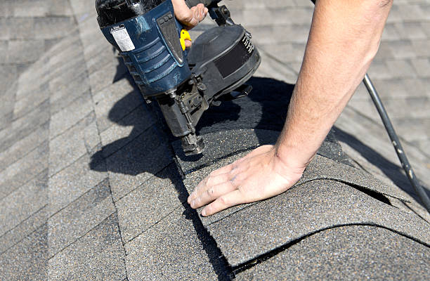 Best Roof Moss and Algae Removal  in Conley, GA